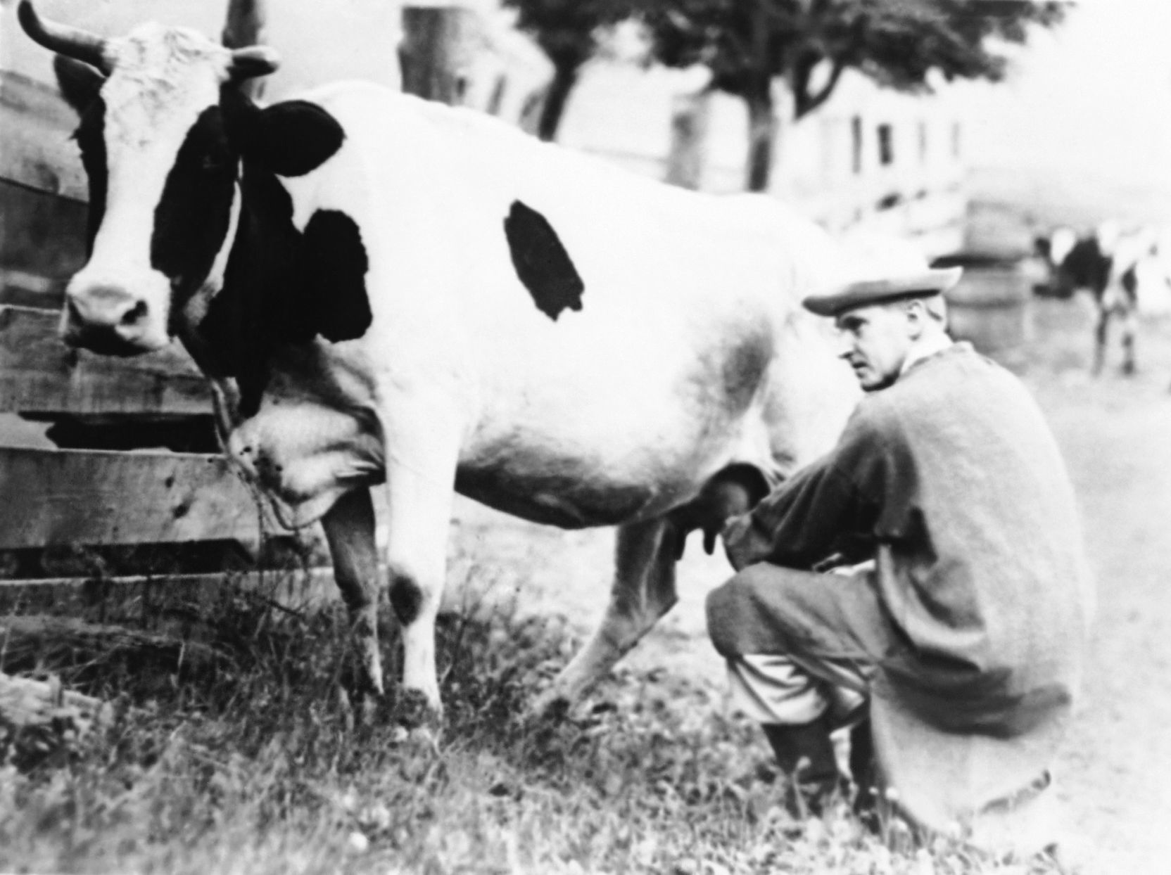 1920: Calvin Coolidge